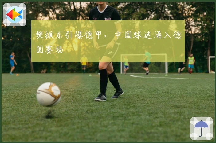 樊振东引爆德甲，中国球迷涌入德国赛场