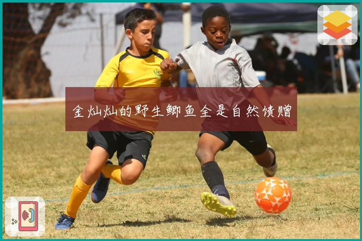 金灿灿的野生鲫鱼全是自然馈赠