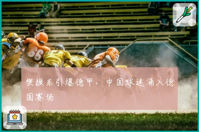 樊振东引爆德甲，中国球迷涌入德国赛场