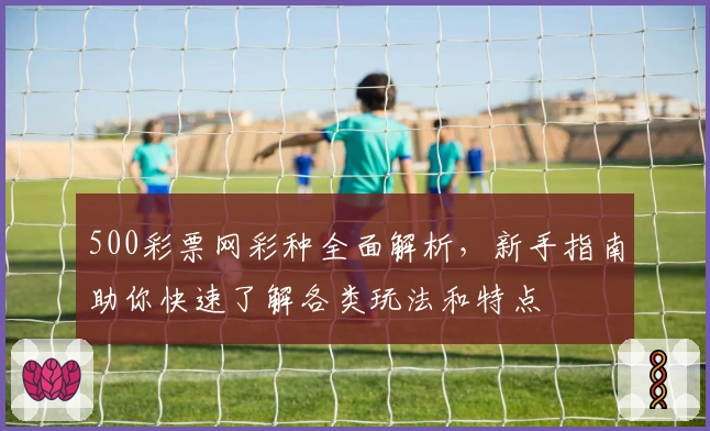 500彩票网彩种全面解析，新手指南助你快速了解各类玩法和特点