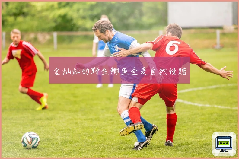 金灿灿的野生鲫鱼全是自然馈赠